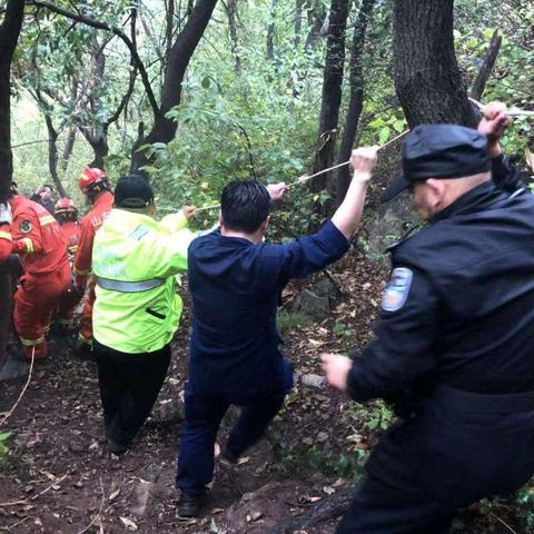 济南有卖下山生桩的吗？