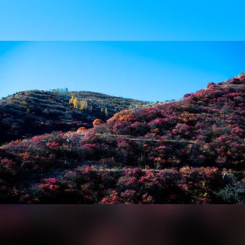 济南市秋天哪里最美作文