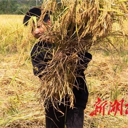 长沙市社港医院怎么样