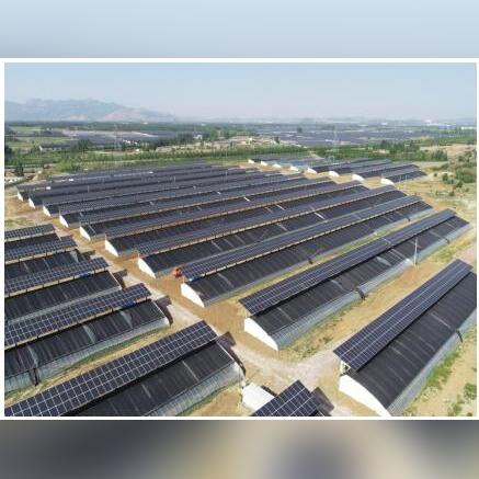 胶州到菏泽市多少公里