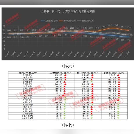 河南话版让子弹飞的相关长尾关键词有哪些