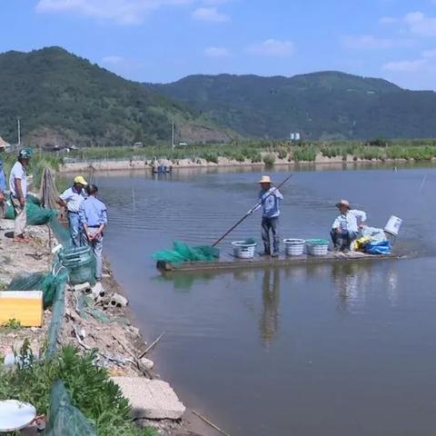 宁波到象山 火车的长尾关键词有什么