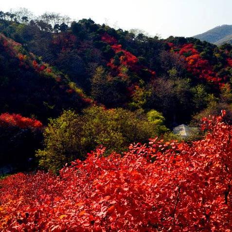 济南九如山10月份相关长尾关键词有哪些