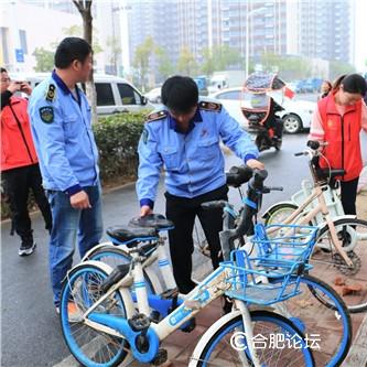 合肥市重点局工程滨湖顺园在什么位置？