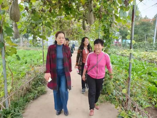 兖州区农业振兴巾帼创业建新功，向阳花家庭农场成为农业农村部第一批家庭农场典型案例