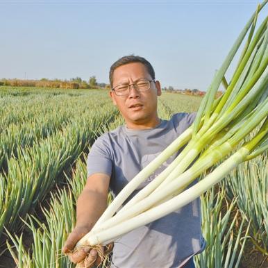 哈尔滨的优点相关长尾关键词有哪些