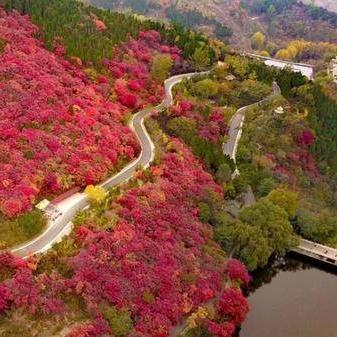 济南市哪个银行卖黄金