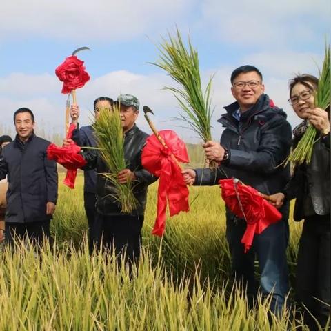 兰州杀虫的相关长尾关键词有哪些