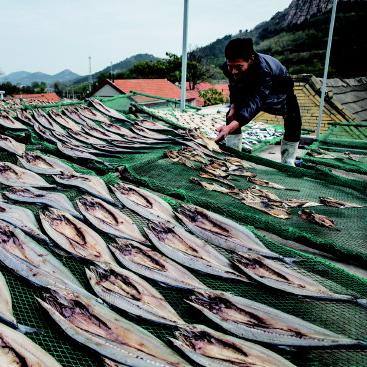 济南市垛石村是哪个镇