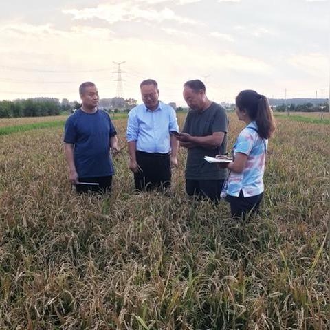 河南哪个地方种大豆