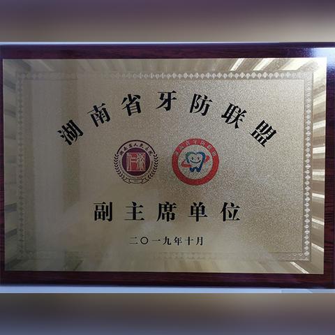 2025.12.17长沙今日最新新闻有哪些