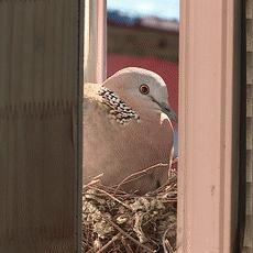 邳州八月份天气预报的长尾关键词有什么