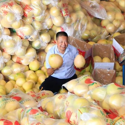 赣州市红心柚子基地在哪里