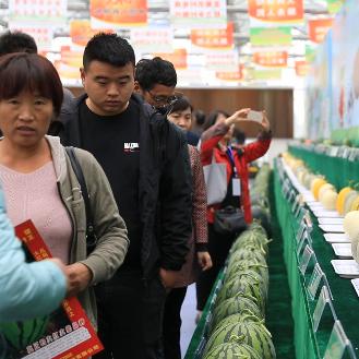 山东潍坊市的女主播名单的长尾关键词有哪些