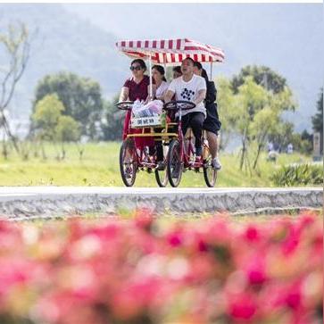 温州市温州瑞安天气的长尾关键词有什么