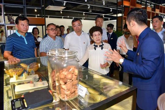 【主题教育】市政协调研我市现代职业教育工作为扩大就业创业、促进海南自贸区自贸港提供强大人力支撑