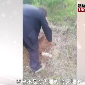 济南市的荒地有哪些农村
