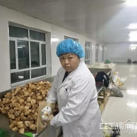 哈尔滨市强闯小区在哪里