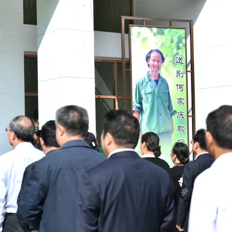 合肥卖魔芋相关长尾关键词有哪些