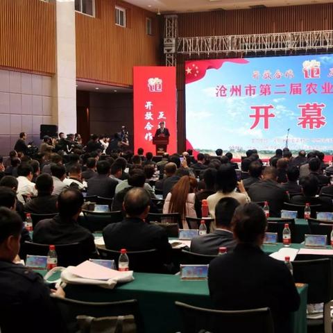 沧州市龙头企业有哪些？