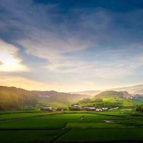 主厨烹饪电影有哪些