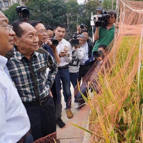 长沙市衡南县属于哪个区