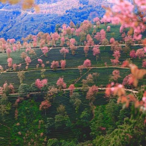 天津华庆里怎么样