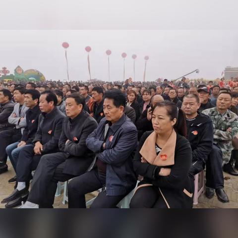 保定市去哪里旅游