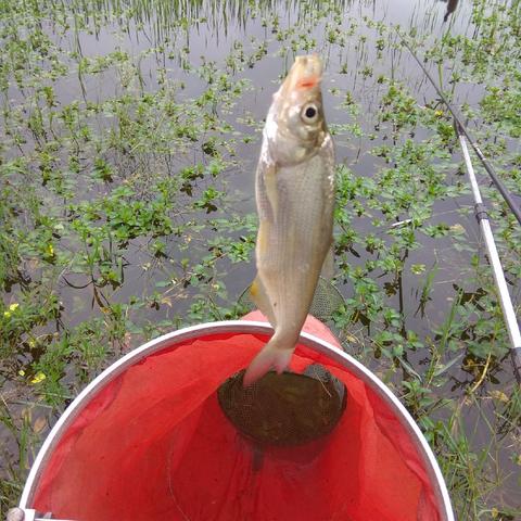 南通迅结人力长尾关键词有什么