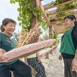 湖北阳新县村民质疑自来水“每月保底收费12元”，当地多部门回应