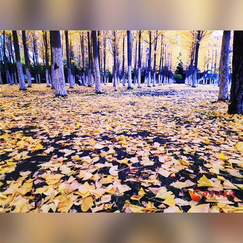 兰州黄页电话的相关长尾关键词有哪些