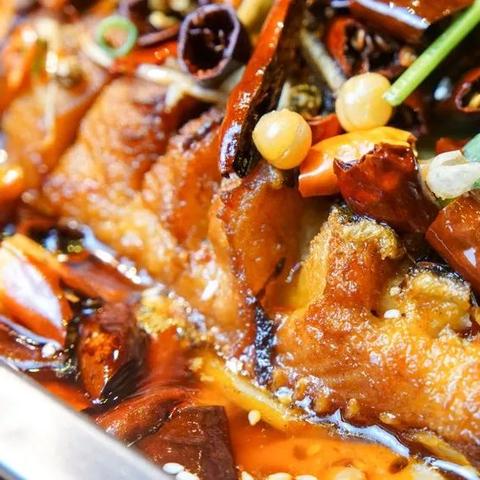 广州市南沙区有什么鱼