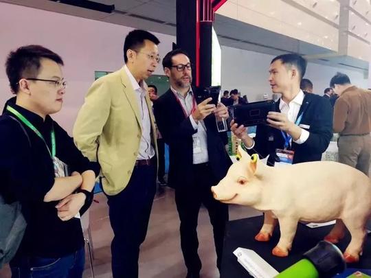 告别传统养殖，李曼大会上智慧养猪联合生态展实力吸晴