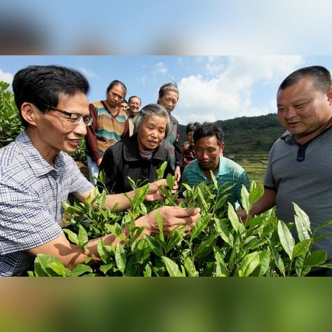宁波市哪个成人高考好