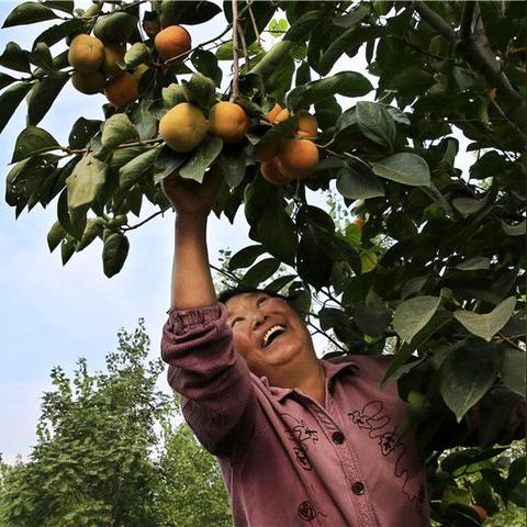 河南话你熟点是什么意思