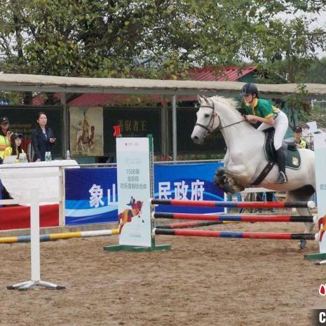 桂林市金牌教练有哪些人