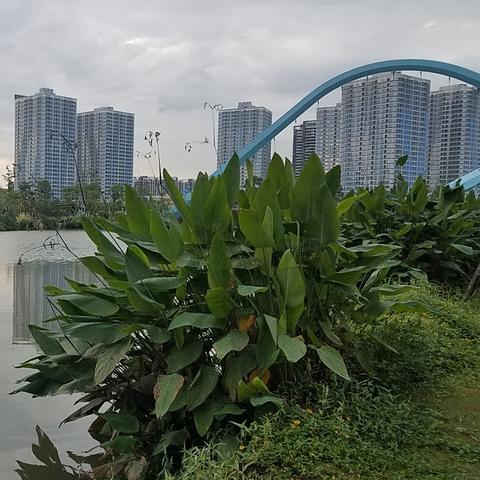 做瘦身微商文案怎么写的长尾关键词有什么