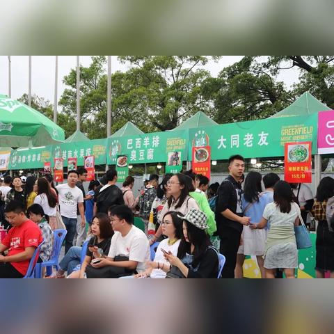 南宁绿野音乐节有必要买vip吗？