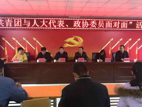自治区团委开展“共青团与人大代表政协委员面对面”活动