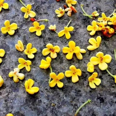 桂林下雨能旅游吗相关长尾关键词有哪些