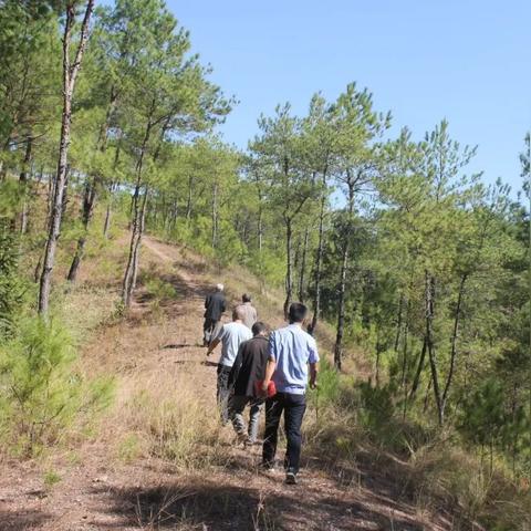 江西省赣州市养猪场的长尾关键词有哪些