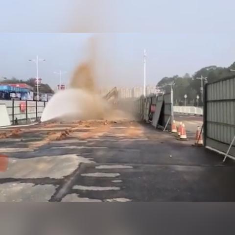 长沙市什么地方可以埋猫