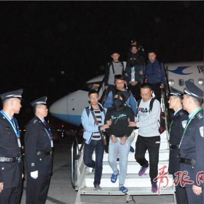 杭州市网警支队在哪个区