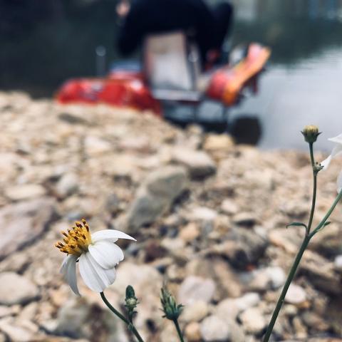 广东东莞市东江野钓的长尾关键词有哪些