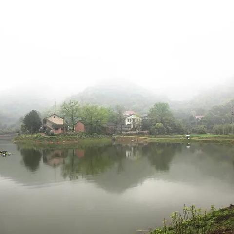 长沙跳马蔬菜市场有多大？