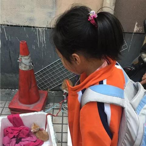 杭州市什么单位招工