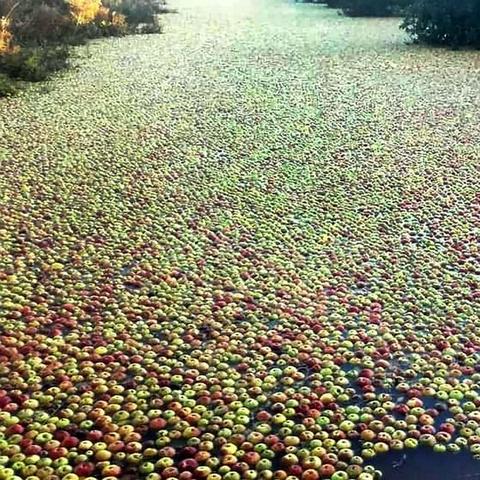 苹果叠放怎么添加天气