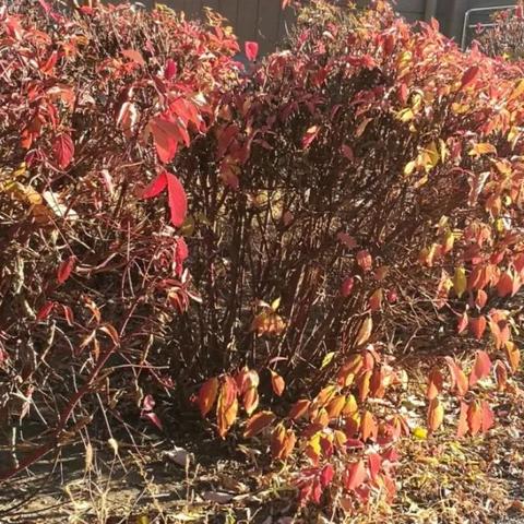 哈尔滨一年的气温相关长尾关键词有哪些