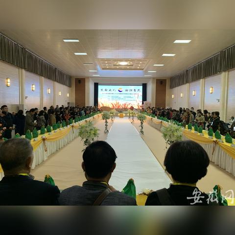 合肥市殡仪馆什么级别