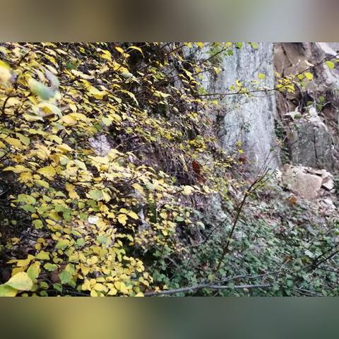 河南养殖降温设备的相关长尾关键词有哪些